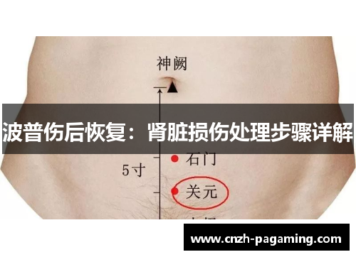 波普伤后恢复:肾脏损伤处理步骤详解 波普伤后恢复:肾脏损伤处理步骤详解
