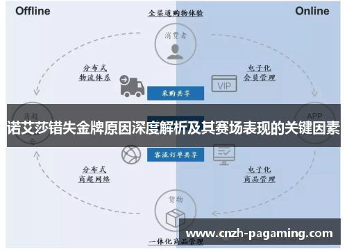 诺艾莎错失金牌原因深度解析及其赛场表现的关键因素 诺艾莎错失金牌原因深度解析及其赛场表现的关键因素