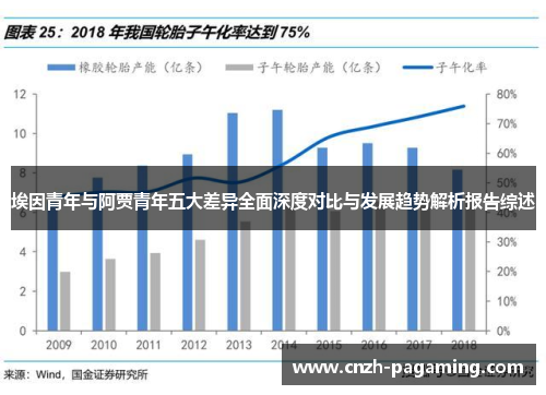 埃因青年与阿贾青年五大差异全面深度对比与发展趋势解析报告综述 埃因青年与阿贾青年五大差异全面深度对比与发展趋势解析报告综述
