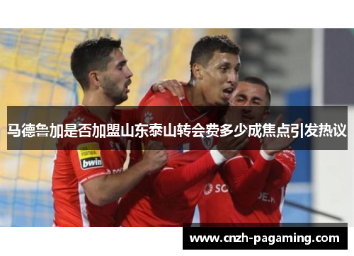 马德鲁加是否加盟山东泰山转会费多少成焦点引发热议