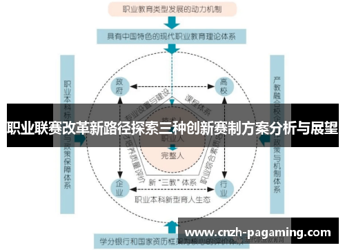 职业联赛改革新路径探索三种创新赛制方案分析与展望